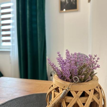 Apartament Zielony Kollataja Tomaszow Mazowiecki Ngoại thất bức ảnh